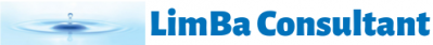 Limba Consultant